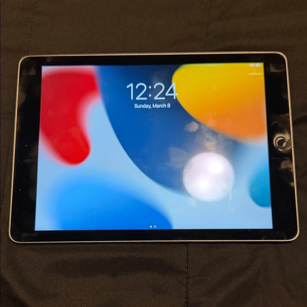 Apple iPad Air 2 Silver Back